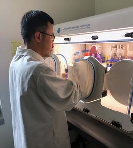 Yaxi Wang in UW Medicine microbiology lab