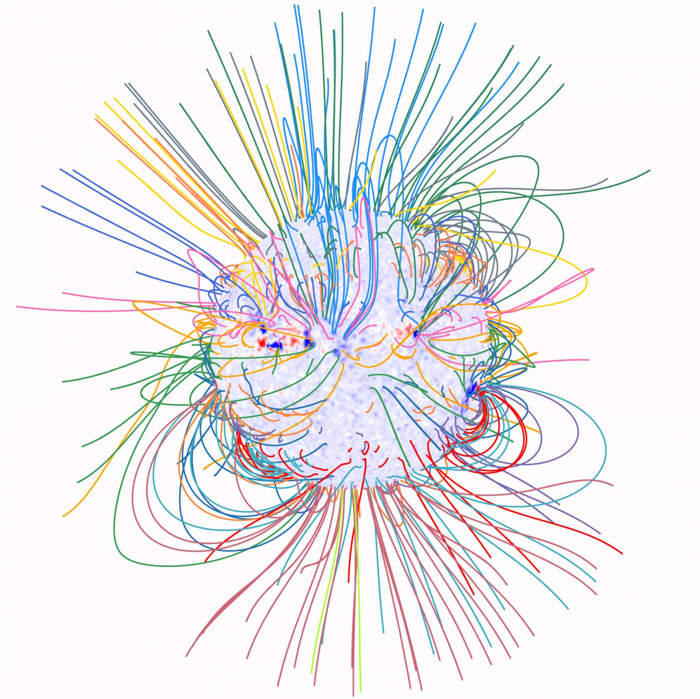 Magnetic field of the Sun calculated from a theoretical model