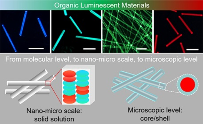 Multiscale construction of organic charge-transfer complexes microwires for white light emission