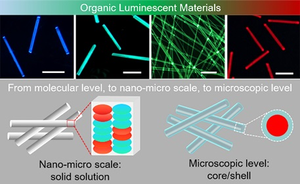 Multiscale construction of organic charge-transfer complexes microwires for white light emission