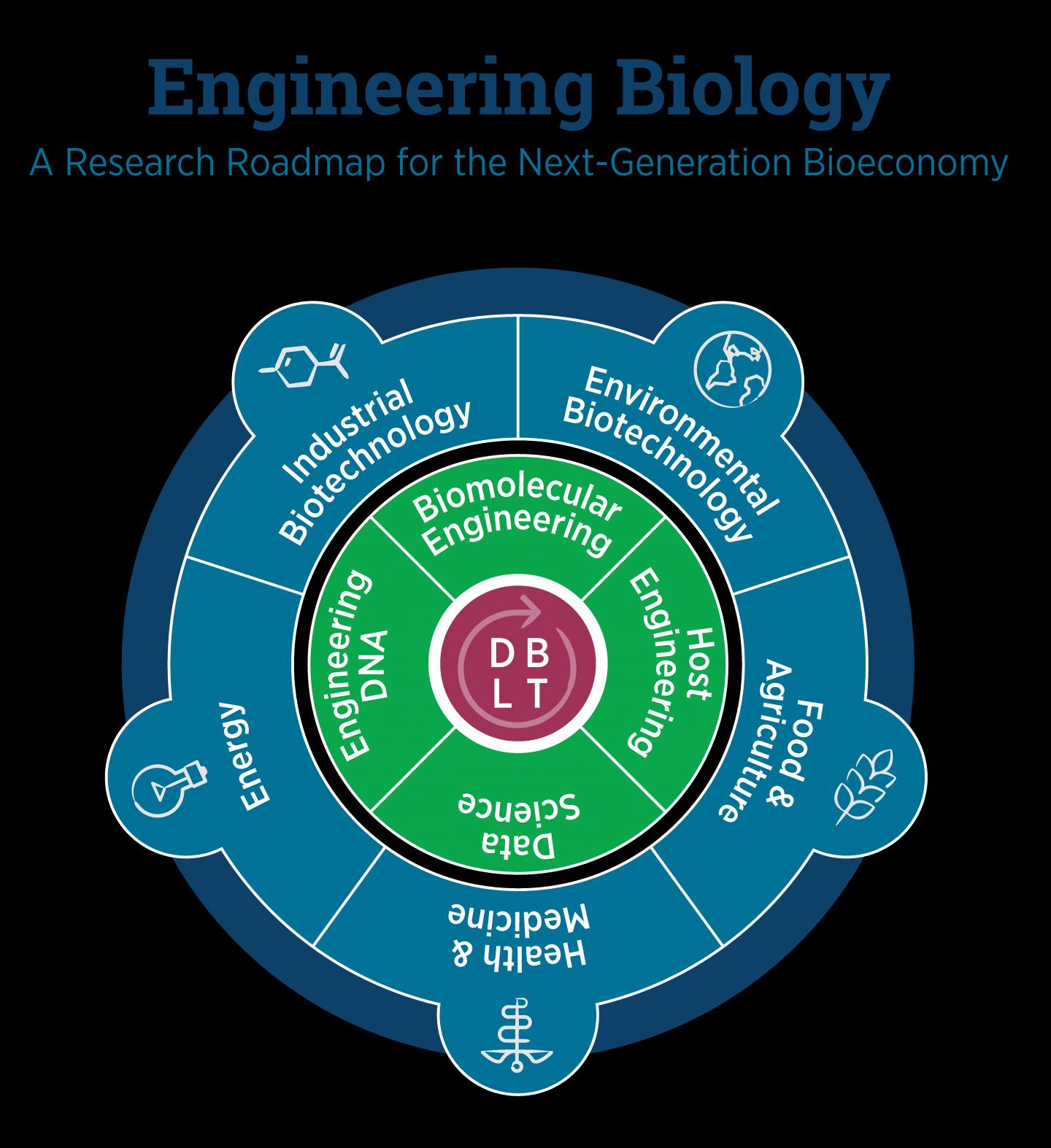 Roadmap for Engineering Biology