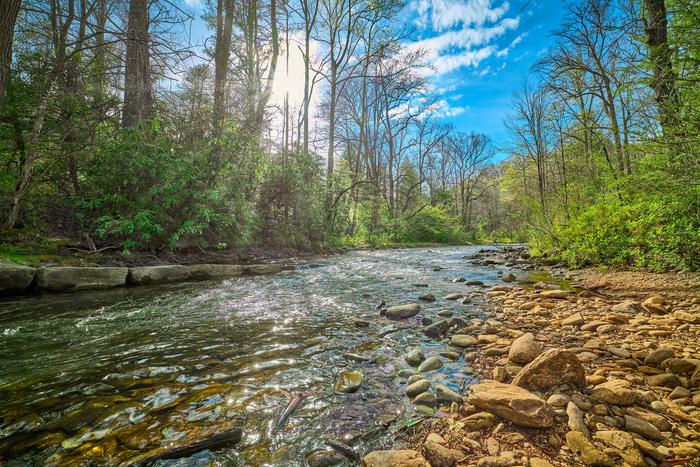 Mills River in Pisgah National Forest, North Carolina