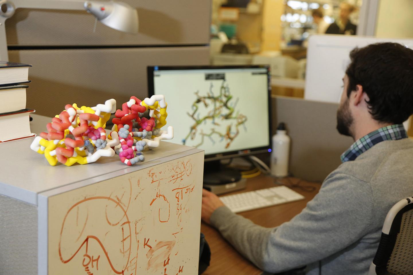 Modeling Of Protein Molecule Structure