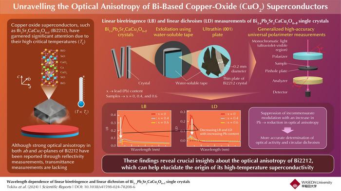 Origin of strong optical anisotropy in Bi-based copper-oxide (CuO2) superconductors