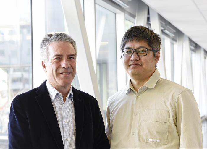Dr Gilles Soulez, a CRCHUM researcher and professor at Université de Montréal, with Ning Li, a postdoctoral fellow in Dr. Soulez’s laboratory