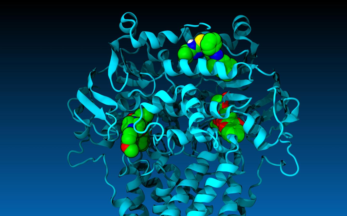 Compounding Hope in Battle against Cancer