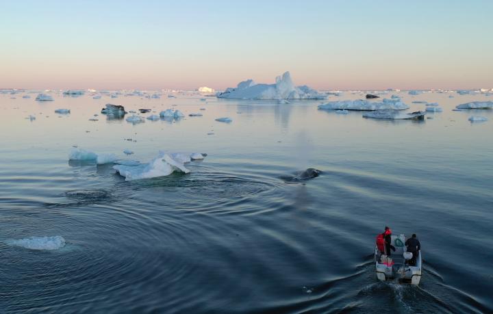 Disco Bay, Greenland