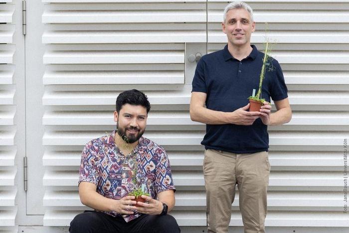 Dr Ernesto Llamas and Professor Dr David Vilchez