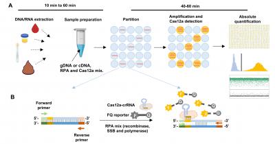 SMART CAMP - Figure shows the schematic illustration of RADICA