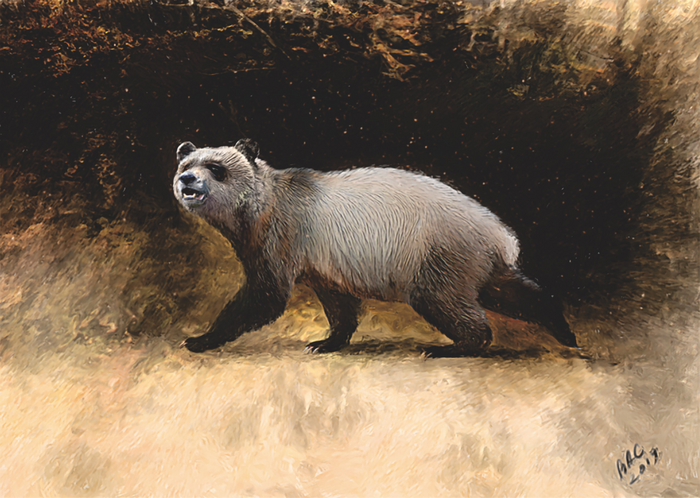 Reconstruction of A. nikolovi sp. nov. from Bulgaria.