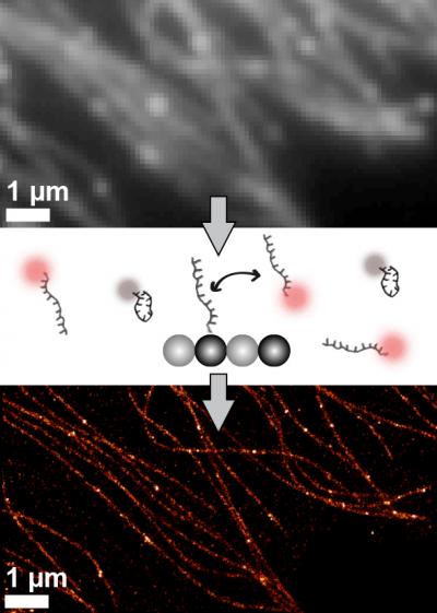 Molecular Beacons Sharpen Images