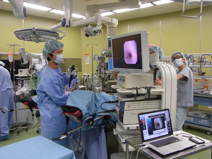 Japanese participants in the study being trained in the ureteroscopy procedure