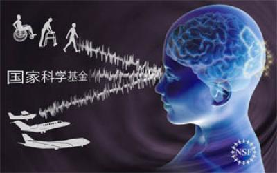 Researchers: Adult Early Visual Areas Are Sufficiently Plastic to Cause Visual Perceptual Learning