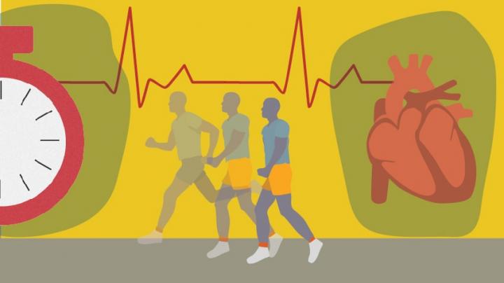 Moderate Exercise May Be Beneficial for HCM Patients