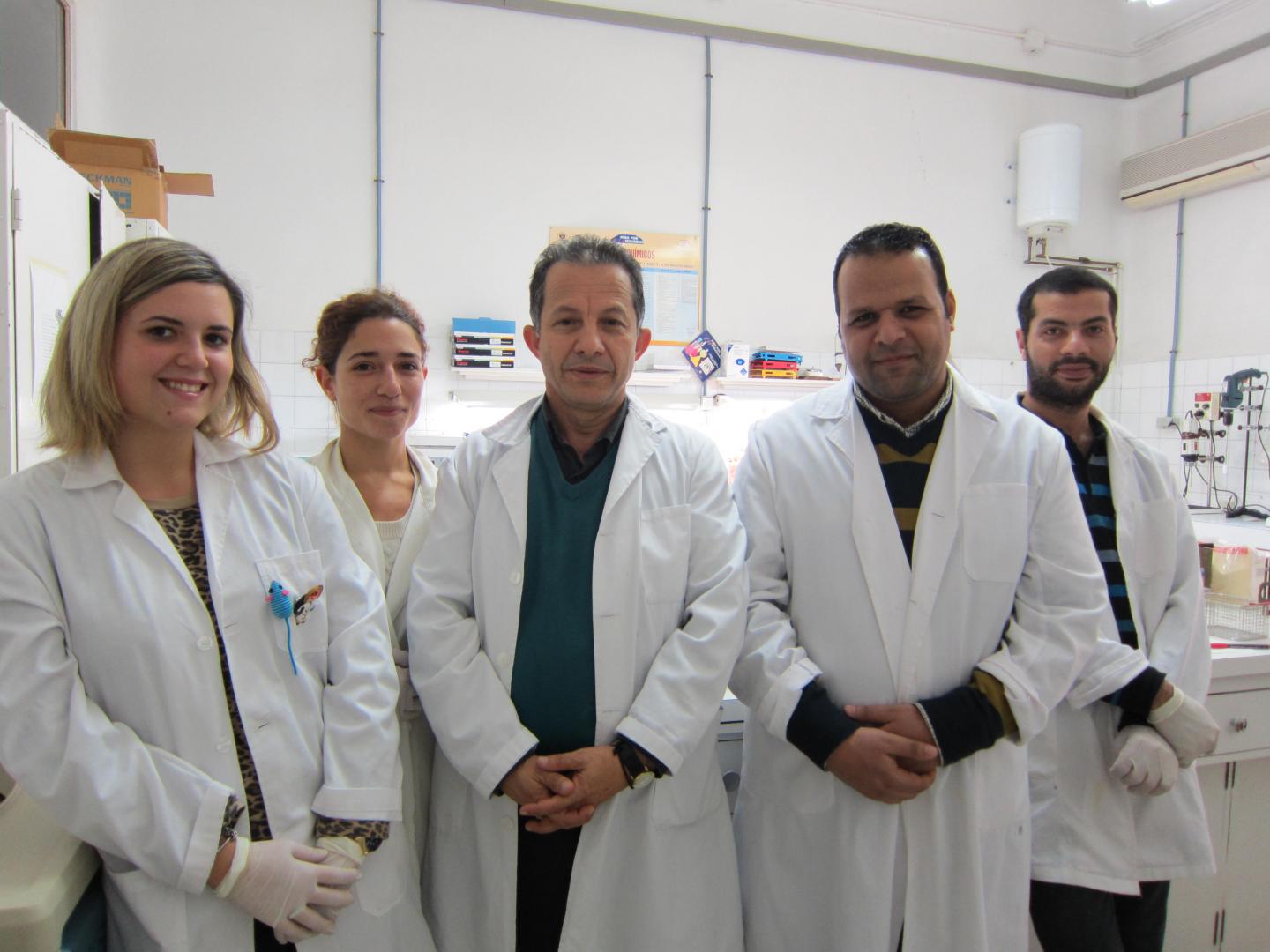 Ahmad Agil and Research Team, University of Granada