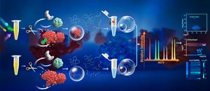 New proteomics method enables sensitive identification of ligand-binding proteins and their binding sites in complex system