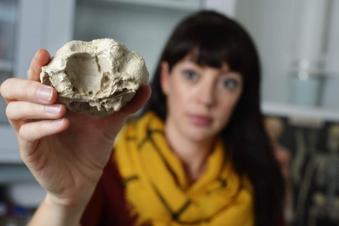 <i>Triopticus</i> Casting