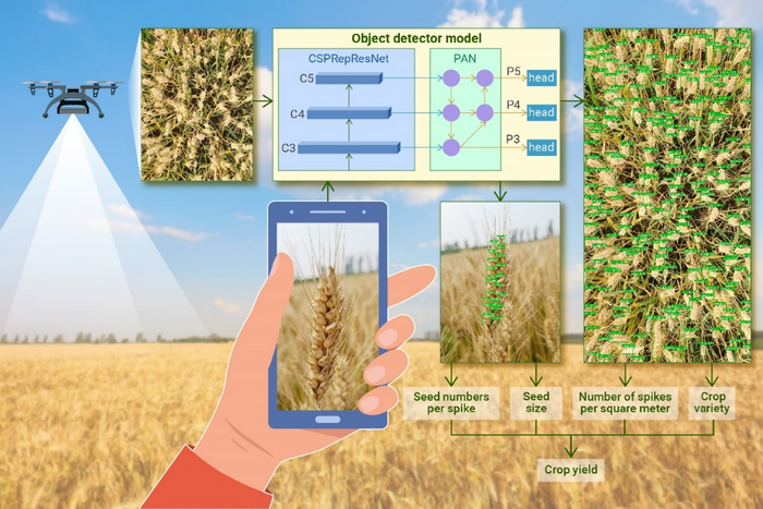 Novel method to measure yield with computer vision