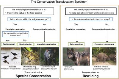 The Conservation Translocation Spectrum