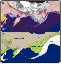 Beringia and UV Levels during the Last Glacial Maximum