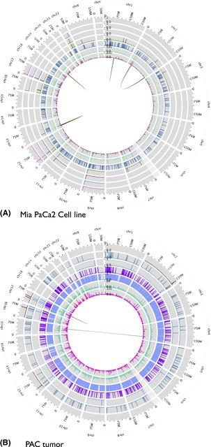 Plot Showing Data Analyzed Using Galaxy Platform