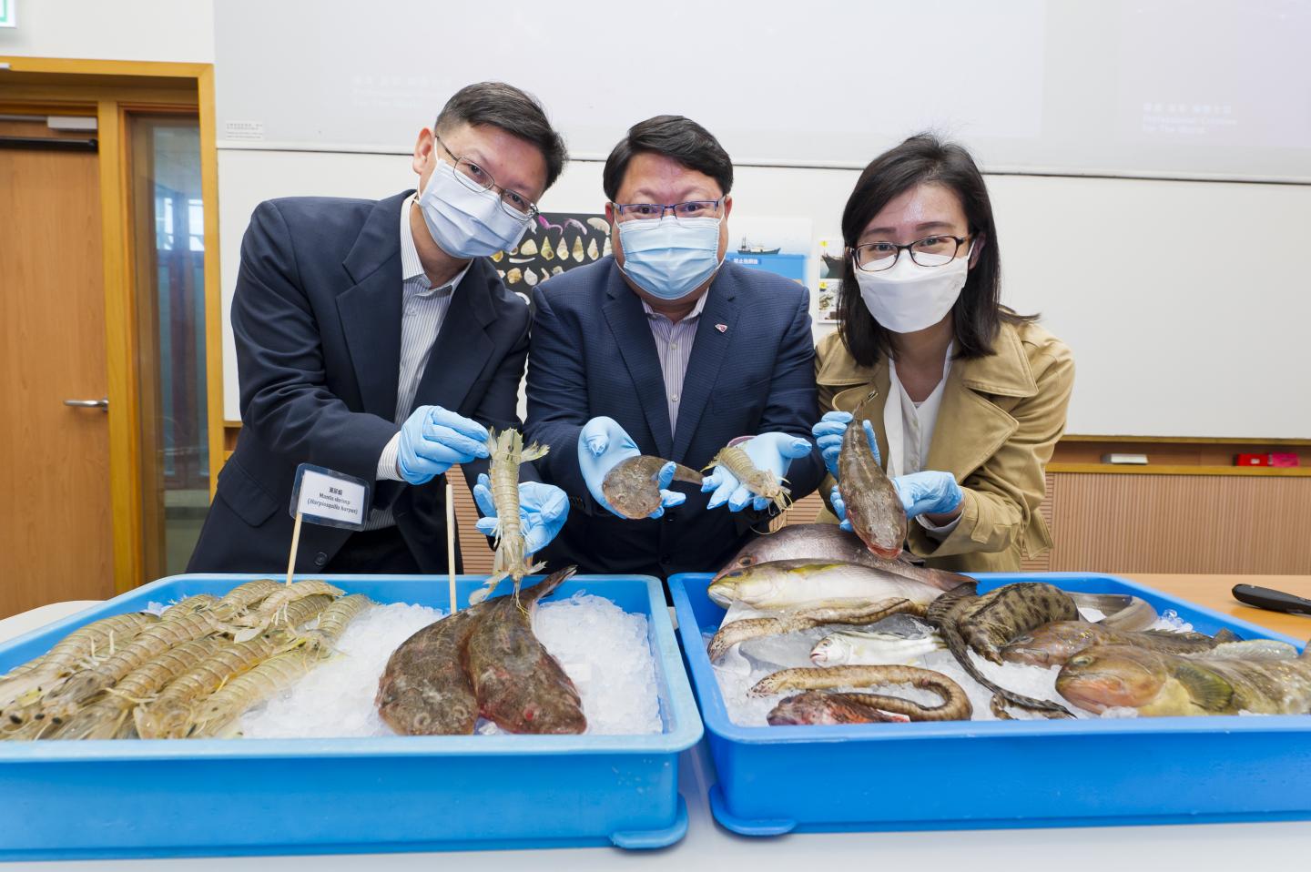 Various types of fisheries captured in Hong Kong waters.