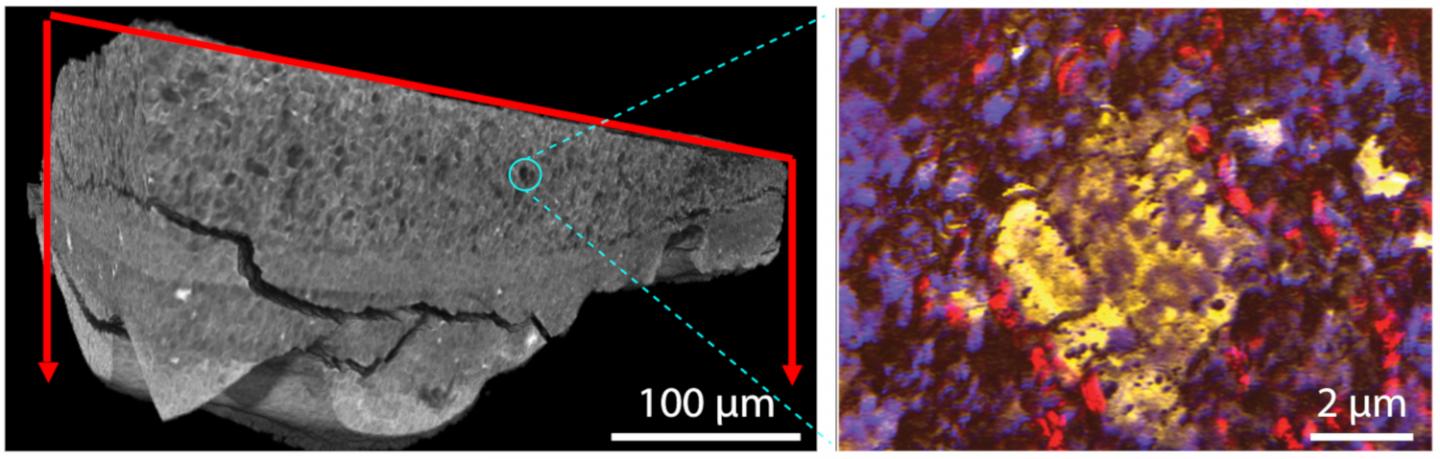 Microscopic and Nanoscale Details