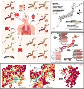 Disease burden map