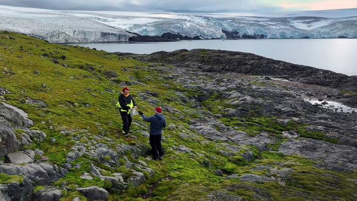 Collecting plant samples in Antarctica