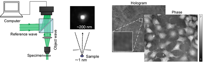 Fig. 1. Schematics of Digital holographic microscopy (DHM)
