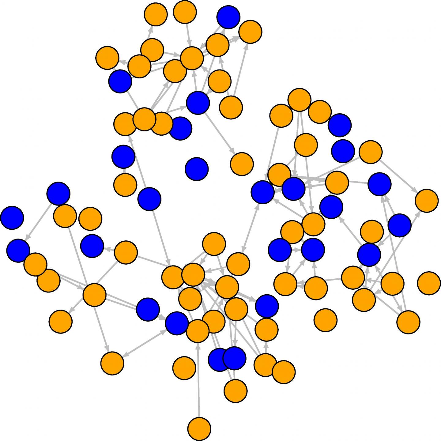 Student study assistance network at the first wave