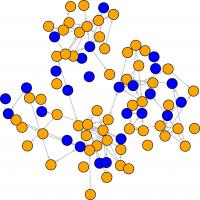 Student study assistance network at the first wave