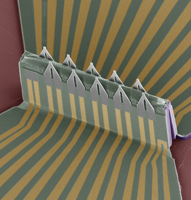 FET sensors for monitoring heart cells electrical activity