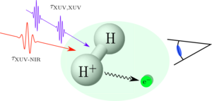 Sketch of the experiment