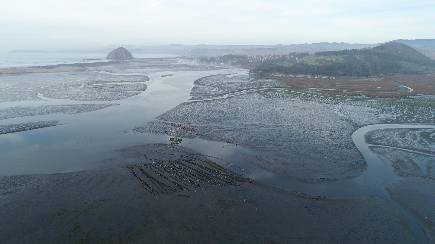 Morro Bay Estuary