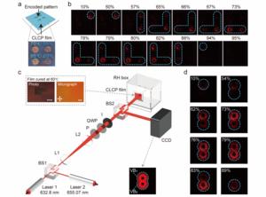 Figure 3 | Humidity-Responsive CLCP Films Encoded with a Four-Quadrant q-plate Array and a Dual-Wavelength Humidity Monitoring System.