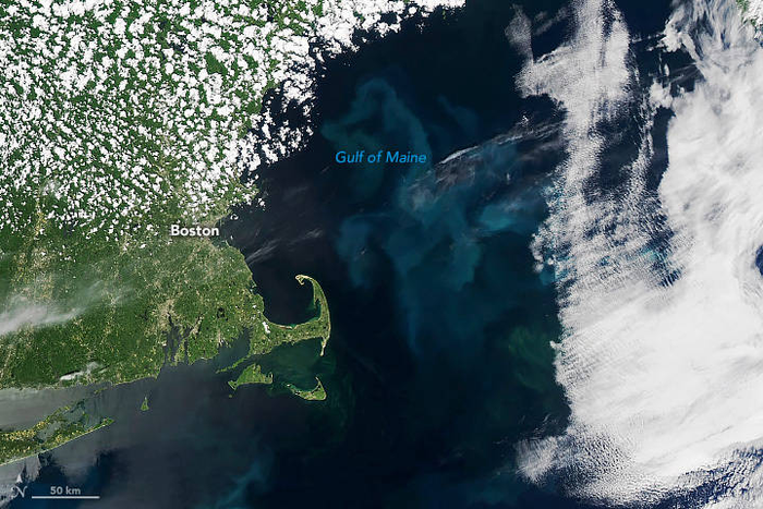 Satellite Image of Gulf of Maine