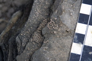 Rocks exposed along Darting Minnow Creek