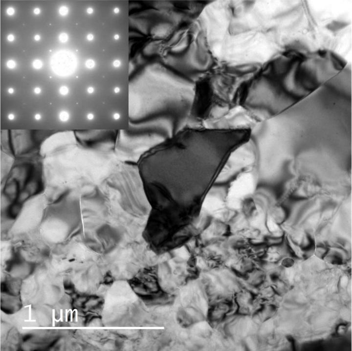 Discovery of Natural MgSiO<sub>3</sub> Tetragonal Garnet in a Shocked Chondritic Meteorite