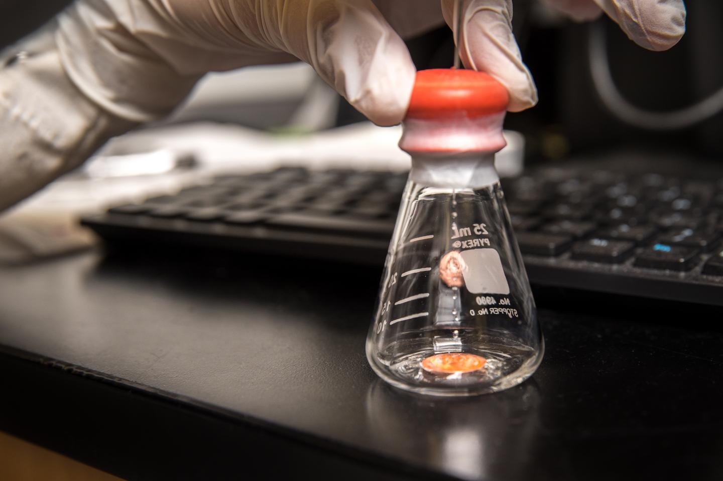 Why Lithium Metal Batteries Fail