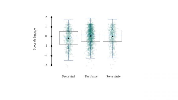 Children Who Have An Elder Brother Have Slower Linguistic Development on Average