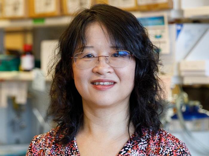 Ping Yi, University of Houston assistant professor of biology and biochemistry