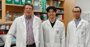 Researchers in the Arts lab at the Schulich School of Medicine & Dentistry