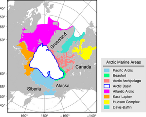 Regions in the study