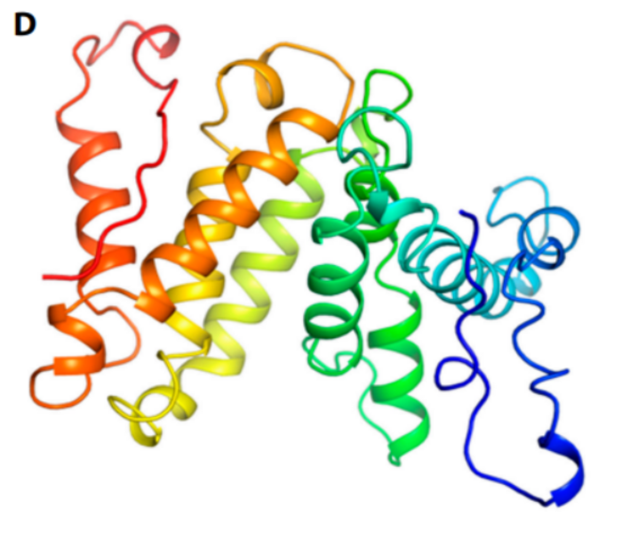 Novel biomolecular polypeptides (BMPPs) for immunomodulation and macrophage polarization