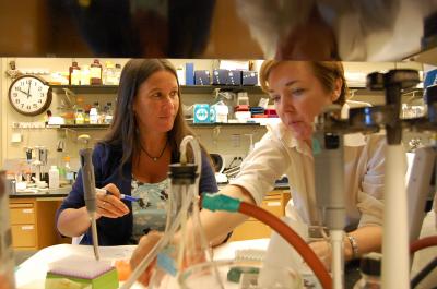 Otey Lab, UNC School of Medicine