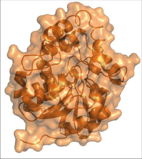 <I>Striga</I> Receptor