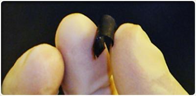 Nanocomposite Paper (2 of 2)