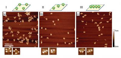 The Shape of Things to Come: NIST Probes the Promise of Nanomanufacturing Using DNA Origami