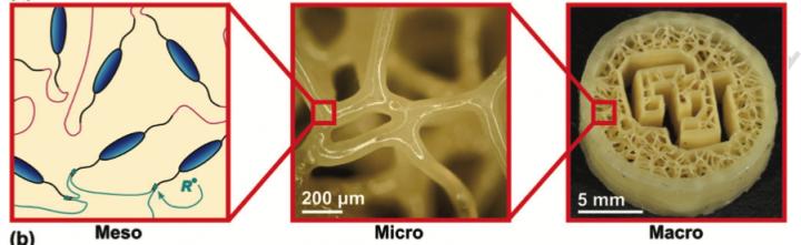 Meso, Micro, and Macro